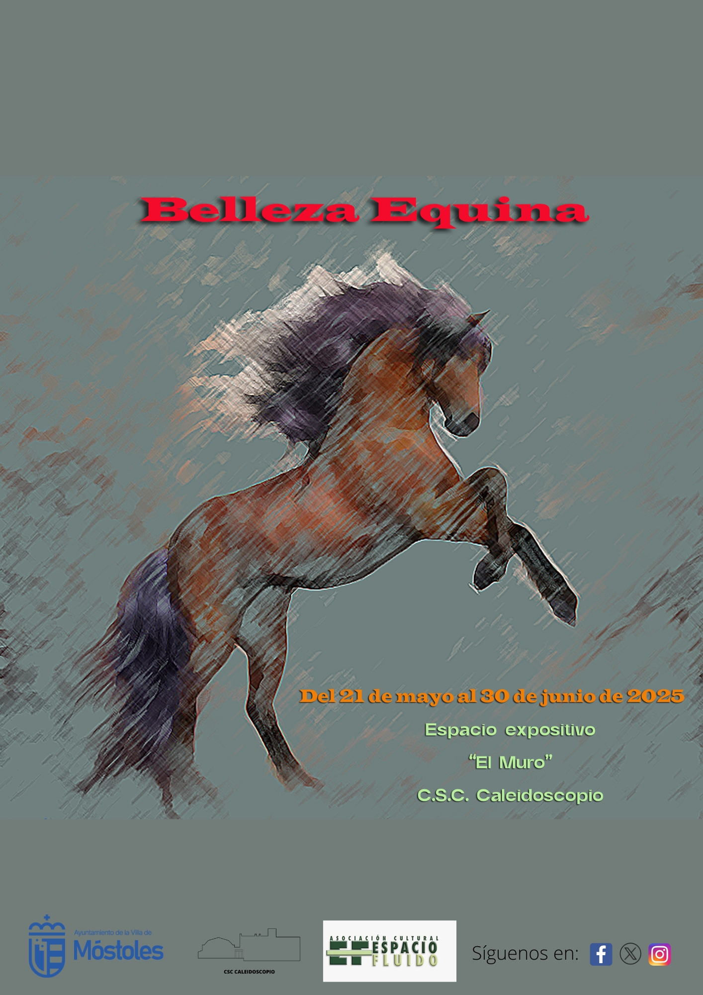 Los alumnos del taller de pintura del Centro Sociocultural Caleidoscopio presentan la exposición “Belleza equina”