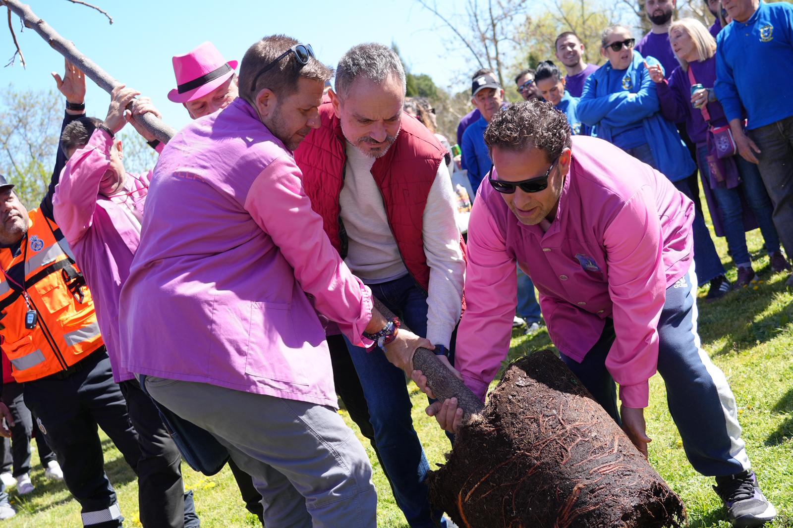 Móstoles conmemora los “quintos de mayo”