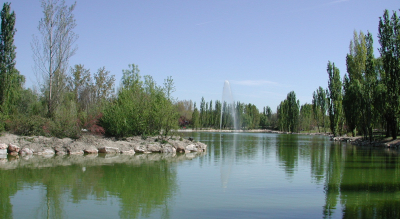 La Junta de Gobierno Local da luz verde a la construcción de un nuevo puente en el Parque Natural del Soto